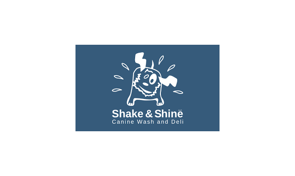 Big image shake shine