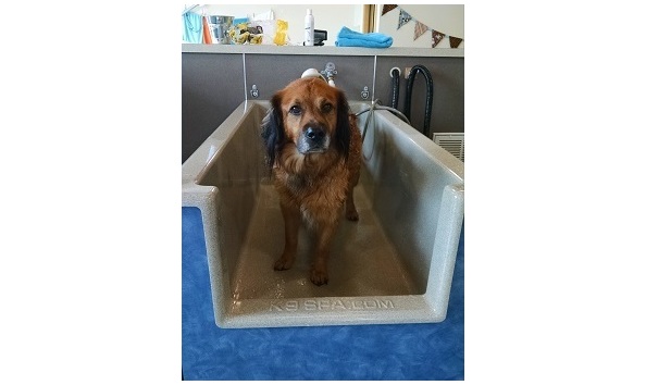 Big image mini magick20210813 23033 104a75s