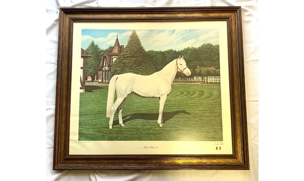 Big image joseph petro horse 2