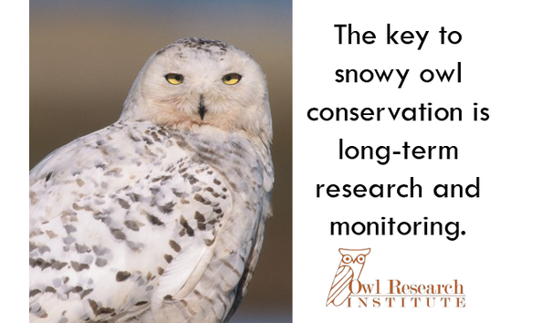 Organization Main Image