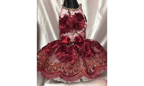 Big image denise lucas 1