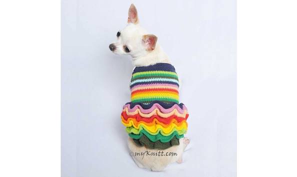 Big image rainbow stripe back view