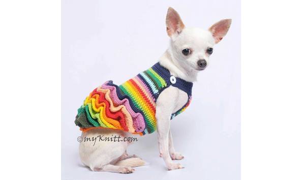 Big image rainbow stripe side view