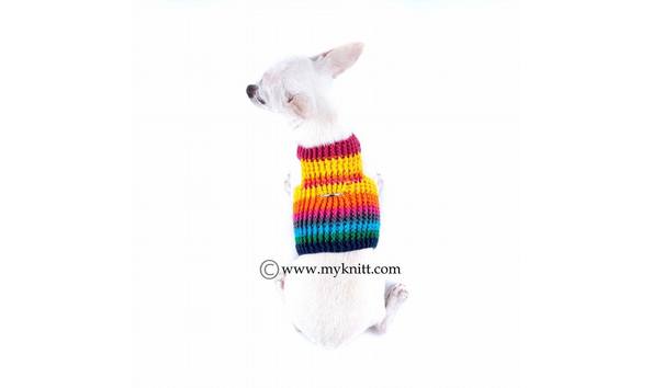 Big image rainbow stripe boy back