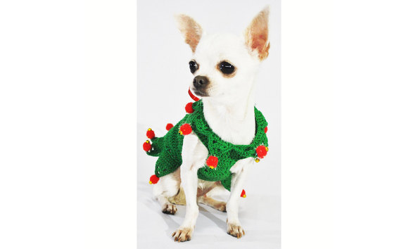 Big image santa baby sweater front