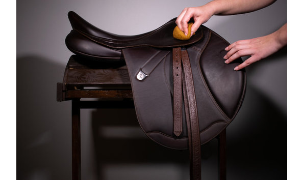 Big image saddle cleaning