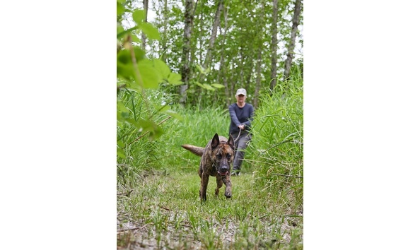 Big image k9 track nw