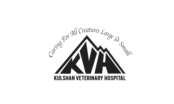 Big image logo for header v2