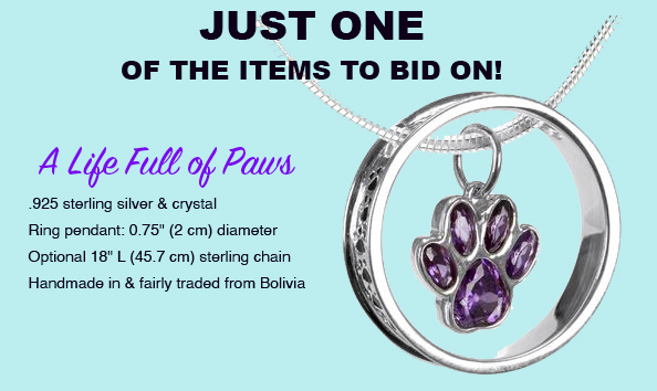 Organization Main Image