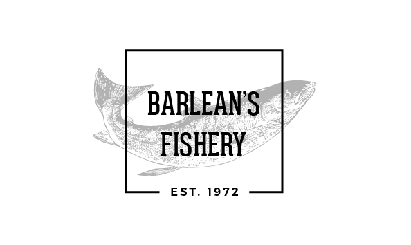 Big image barleans logo