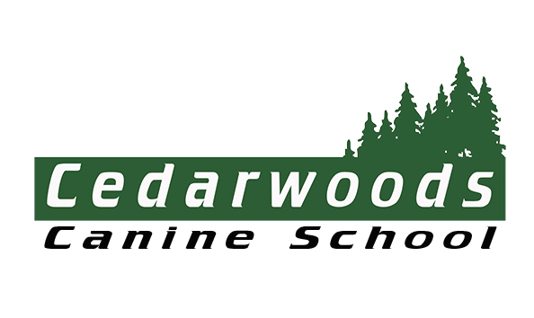 Big image mini magick20210911 129108 zawsml