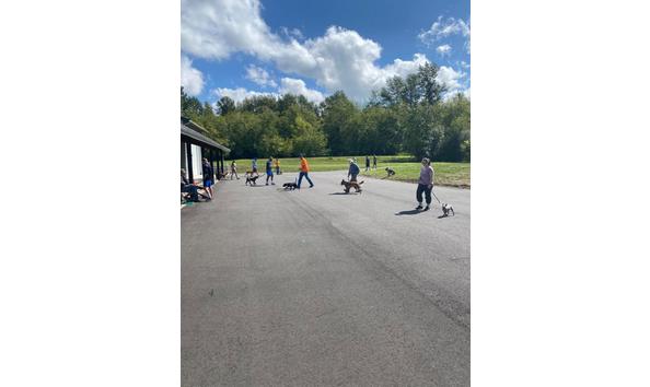 Big image cedarwoods 8 weeks