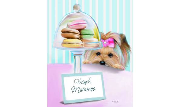 Big image catia french macarons