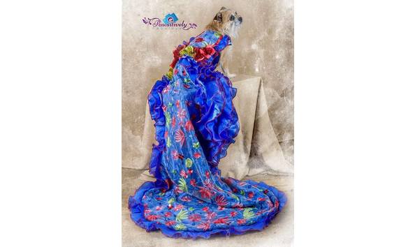 Big image kim shelton dress