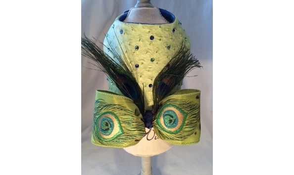 Big image ostrich harness back view