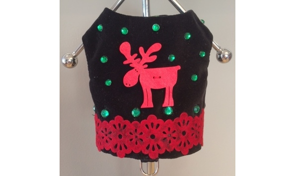 Big image night time moose 1