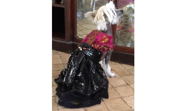 Big image janan benabud dress 1