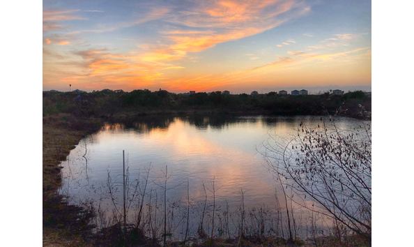 Organization Main Image