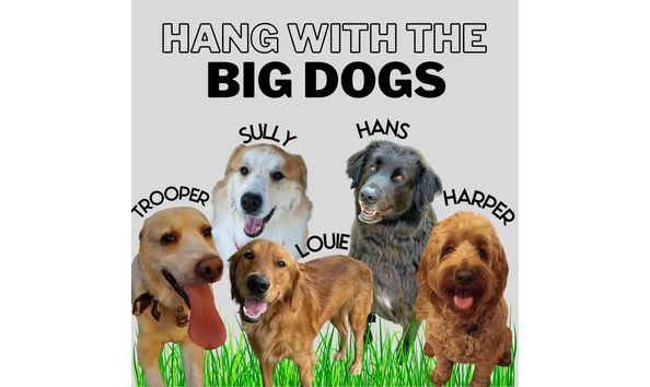 Big image mini magick20210924 4668 jsjzvu