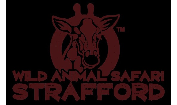 Big image wild animal safari 4