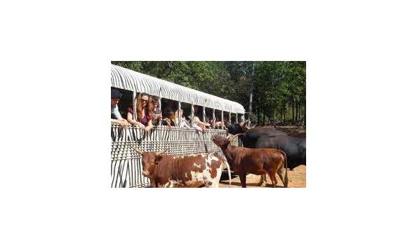 Big image wild animal safari 3