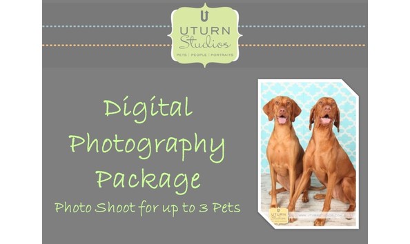 Big image uturn graphic for auction