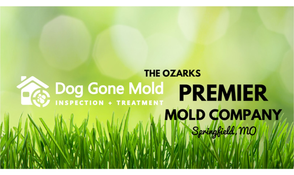 Big image dog gone mold