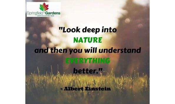 Big image spfld gardens logo