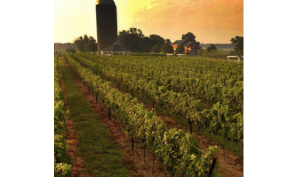 Big image sitemgr photo 107034