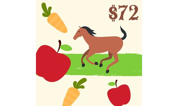 Big image dessert dash 72