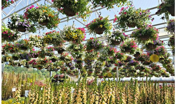 Big image 200 outdoor nursery 2016