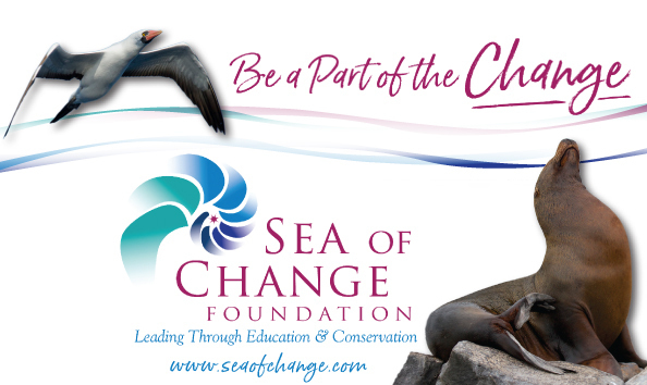 Organization Main Image