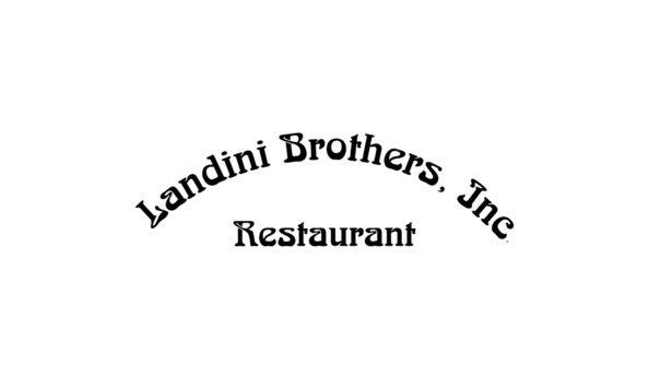 Big image landini logo