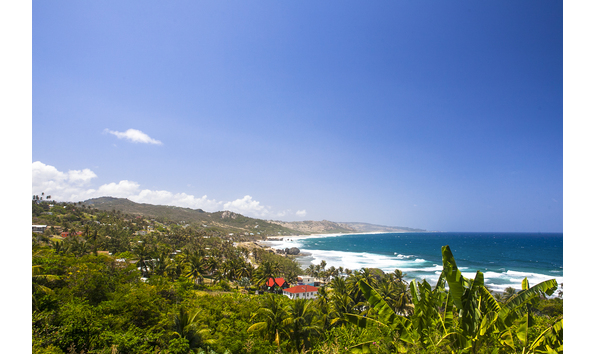 Big image barbados19