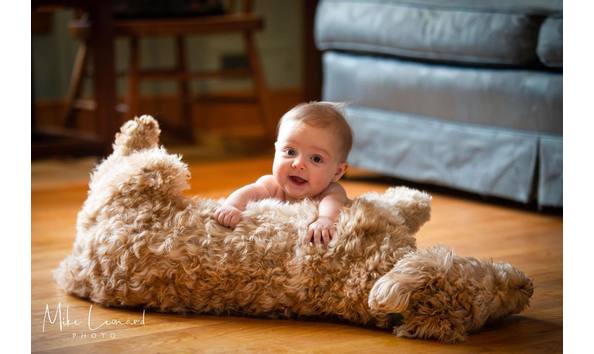 Big image 149855140 3284945871607106 7219752017968367935 n