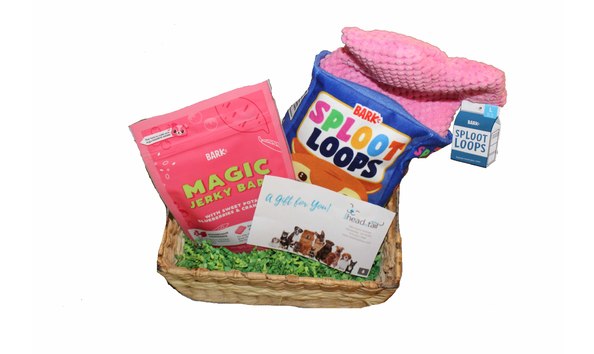 Big image img 4013 copy