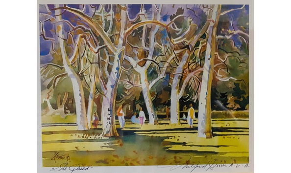 Big image zotnes quad2