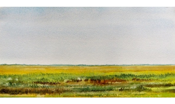 Big image kmazzu watercolor mcfaddin coastal marsh