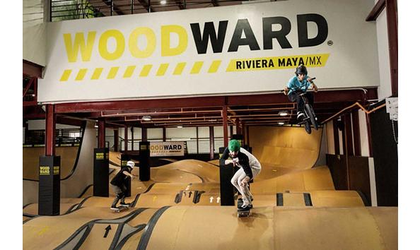 Big image 20180412 woodward mx d1 0036 copy opt  1 