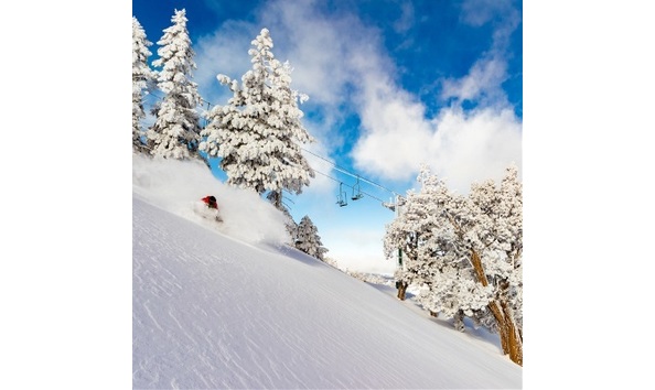 Big image big bear 4