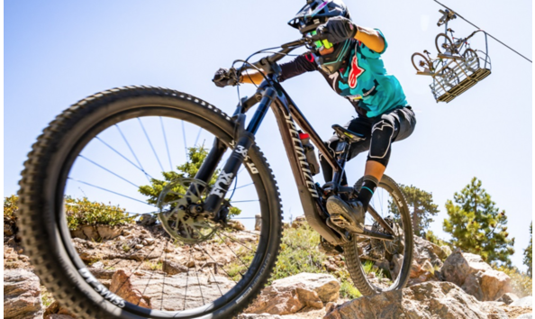 Big image big bear 5