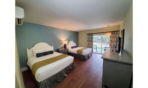 Big image ip 2021 212 b