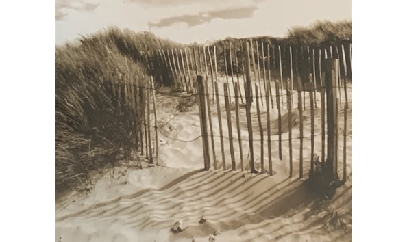 Big image sepia zoom