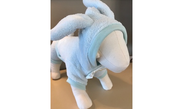 Big image fullsizerender  1 