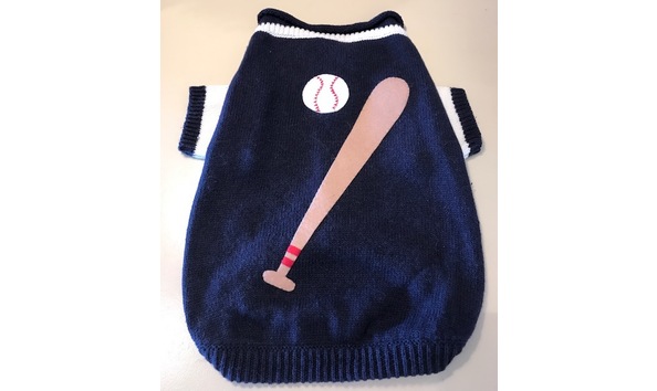 Big image fullsizerender  5 