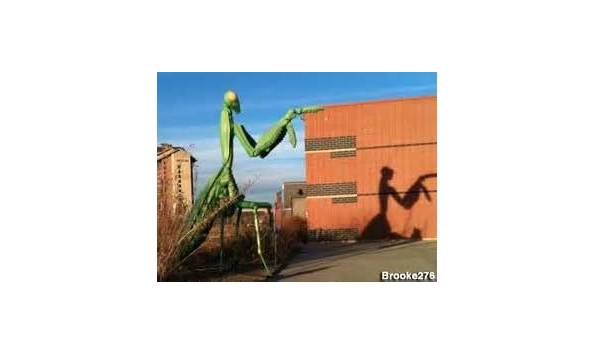 Big image buttery pav.4