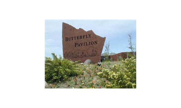 Big image buttery pav