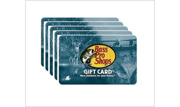 Big image f 24 25 12842403 jm4mlw69 10