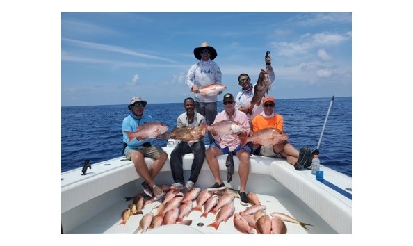 Big image f 24 25 12841132 pka6wp5q fish 1