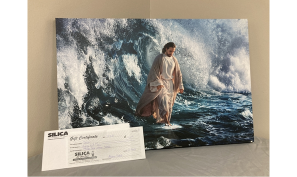 Big image b11f4bf9 5011 4f59 8164 e01a584962bd